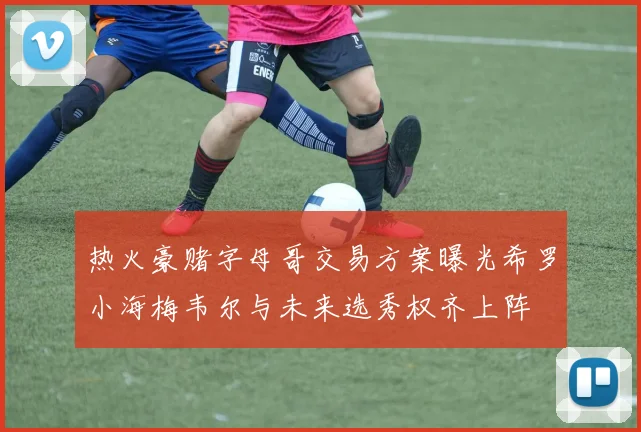 热火豪赌字母哥交易方案曝光希罗小海梅韦尔与未来选秀权齐上阵